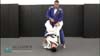 Posture with Sleeve Control into Half Guard vs Closed Guard