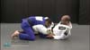 Grasshopper Guard Shoulderlock