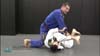 Folding Pass vs Spider Guard