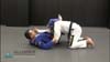 Triangle from Spider Guard